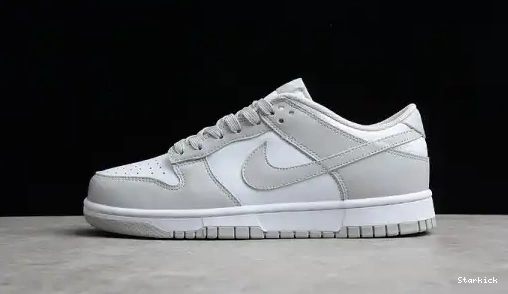 Low Dunk Nike Grey Fog DD1391-103 0610